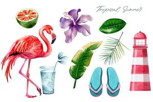 waterverf tropisch set. hand- getrokken zomertijd clip art. zomer elementen. exotisch bloem. palm bladeren. vector