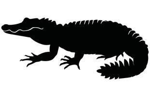 alligator Rechtdoor staart silhouet, krokodil en alligator silhouet, vector