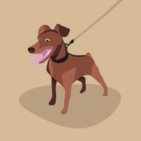 illustratie van een miniatuur pinscher hond. vector