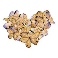 vlinders in hart vorm vector