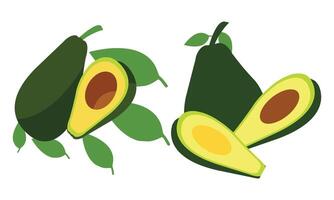 avocado fruit ontwerp vector