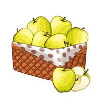 groen appels mand. mand van fruit illustratie. biologisch ontwerp concept. hand- getrokken fruit verzameling. mand met vruchten. boerderij producten. vector