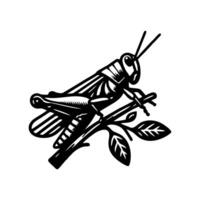 sprinkhaan logo icon.sprinkhaan dier logo Aan een takje. zwart en wit sprinkhaan logo ontwerp. logo sjabloon vector
