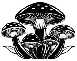 illustratie van champignons vector