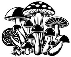 illustratie van champignons vector