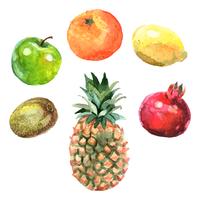 Aquarel vruchten Set vector