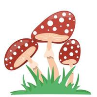 paddenstoelen houden van een geïsoleerd object vector