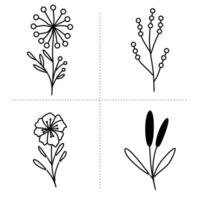 reeks van minimalistische botanisch lijn kunst bloem illustraties vector