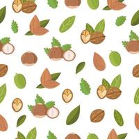 noten met blad naadloos patroon, hazelnoot, amandel, walnoot op witte achtergrond. vector illustratie