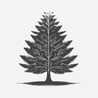 afdrukken betoverend hemlock boom silhouet, een majestueus mengsel van van de natuur kunstenaarstalent vector