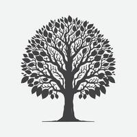 afdrukken majestueus okkernoot boom silhouet, van de natuur kunstenaarstalent in zwart en wit vector