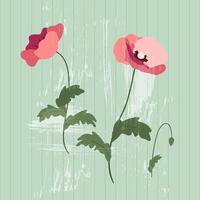 roze klaprozen Aan een wijnoogst getextureerde groen achtergrond. bloemen illustratie voor groet kaarten, bruiloft uitnodigingen, sociaal media en meer ontwerp vector