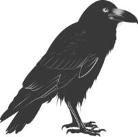 silhouet raaf dier vol lichaam zwart kleur enkel en alleen vector