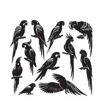 papegaai silhouet Aan wit achtergrond. vogelstand silhouet. papegaai logo, illustratie vector