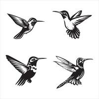 kolibrie silhouet icoon grafisch logo ontwerp vector