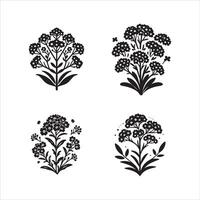 alyssum bloem silhouet icoon grafisch logo ontwerp vector