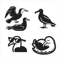 albatros vogelstand silhouet icoon grafisch logo ontwerp vector