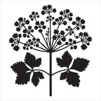 alchemilla bloem silhouet icoon grafisch logo ontwerp vector