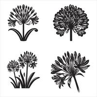 agapanthus silhouet icoon grafisch logo ontwerp vector