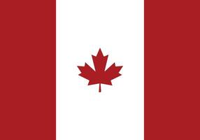 land dag kaart met esdoorn- bladeren. Canada dag kaart. achtergrond met Canadees esdoorn- bladeren. Canadees vlag. vector