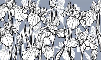 mooi iris bloem lijn kunst achtergrond vector