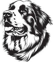 st. Bernard hond clip art, st. Bernard zwart vector