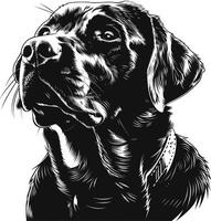 labrador retriever hond clip art, labrador retriever zwart vector