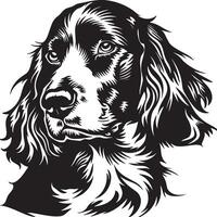 Engels cocker spaniel hond clip art, Engels cocker spaniel zwart vector