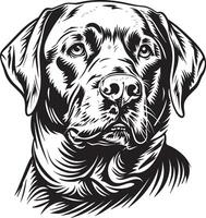 labrador retriever hond clip art, labrador retriever zwart vector