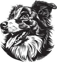 Australisch herder hond clip art, Australisch herder zwart vector