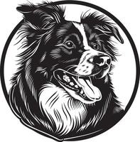 Australisch herder hond clip art, Australisch herder zwart vector