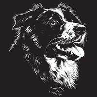 Australisch herder hond clip art, Australisch herder zwart vector