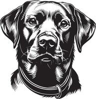 labrador retriever hond clip art, labrador retriever zwart vector