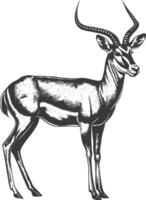 Impala dier vol lichaam met gravure stijl zwart kleur enkel en alleen vector