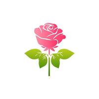 roze roos bloemen, bloemen versierd met prachtig veelkleurig bloeiend bloemen en bladeren grens. voorjaar botanisch vlak illustratie Aan wit achtergrond vector