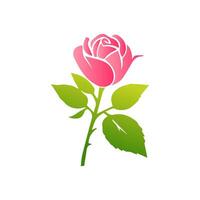 roze roos bloemen, bloemen versierd met prachtig veelkleurig bloeiend bloemen en bladeren grens. voorjaar botanisch vlak illustratie Aan wit achtergrond vector