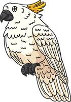 kaketoe vogel tekenfilm gekleurde clip art illustratie vector