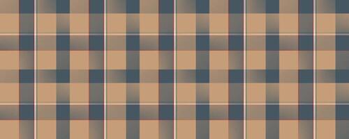 klassiek Schotse ruit plaid naadloos patroon vector