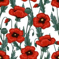 papaver planten naadloos patroon. hand- getrokken bloemen illustratie. abstract botanisch achtergrond. wilde bloemen schetsen. wijnoogst ontwerp voor afdrukken, kleding stof, textiel, inpakken, behang, decor vector