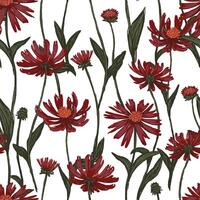 ijshoorntje bloem of echinacea planten naadloos patroon. hand- getrokken illustratie. realistisch botanisch achtergrond. wilde bloemen schetsen. gekleurde wijnoogst ontwerp, afdrukken, kleding stof, textiel, wrap, behang. vector