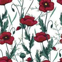 papaver planten naadloos patroon. hand- getrokken bloemen illustratie. abstract botanisch achtergrond. wilde bloemen schetsen. wijnoogst ontwerp voor afdrukken, kleding stof, textiel, inpakken, behang, decor vector