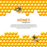 Honingbij achtergrond vector