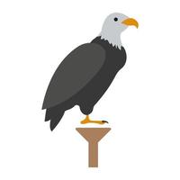 bald eagle concepten vector