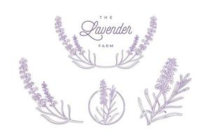 lavendel plant hand getekende illustratie set vector