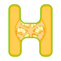 letter h concepten vector