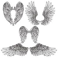 vleugels schets set vector