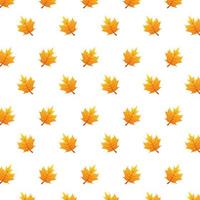 herfstbladeren gebladerte seizoenspatroon vector