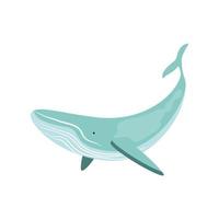 walvis onderzees leven