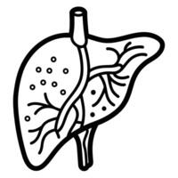 illustratie van menselijk orgaan, lever vector