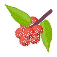 trendy pineberry concepten vector